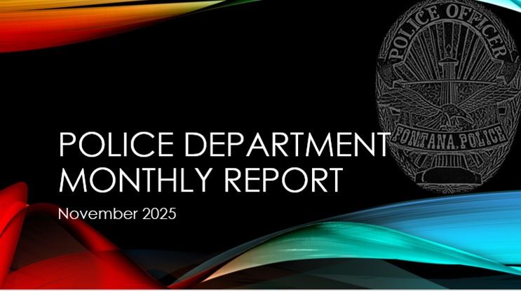 Crime Stats November 2025
